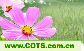 ようこそ、四川省、中国青年旅行社のウェブサイトwww.COTS.com.cnする