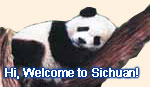 HI, Welcome to Sichuan!